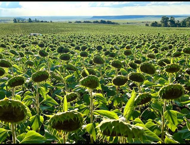 FARM FOR SALE IN BETHLEHEM RURAL